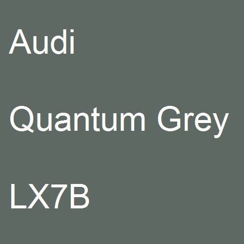 Audi, Quantum Grey, LX7B.